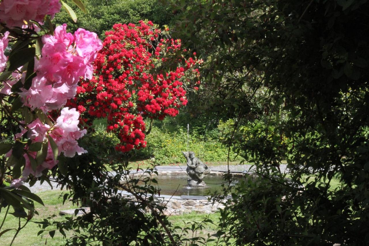 Devon Country Paradise Tavistock  Ngoại thất bức ảnh