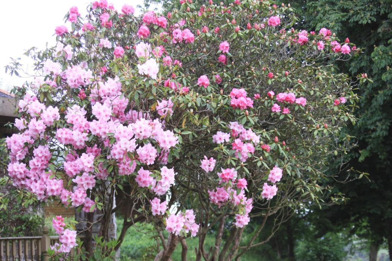 Devon Country Paradise Tavistock  Ngoại thất bức ảnh