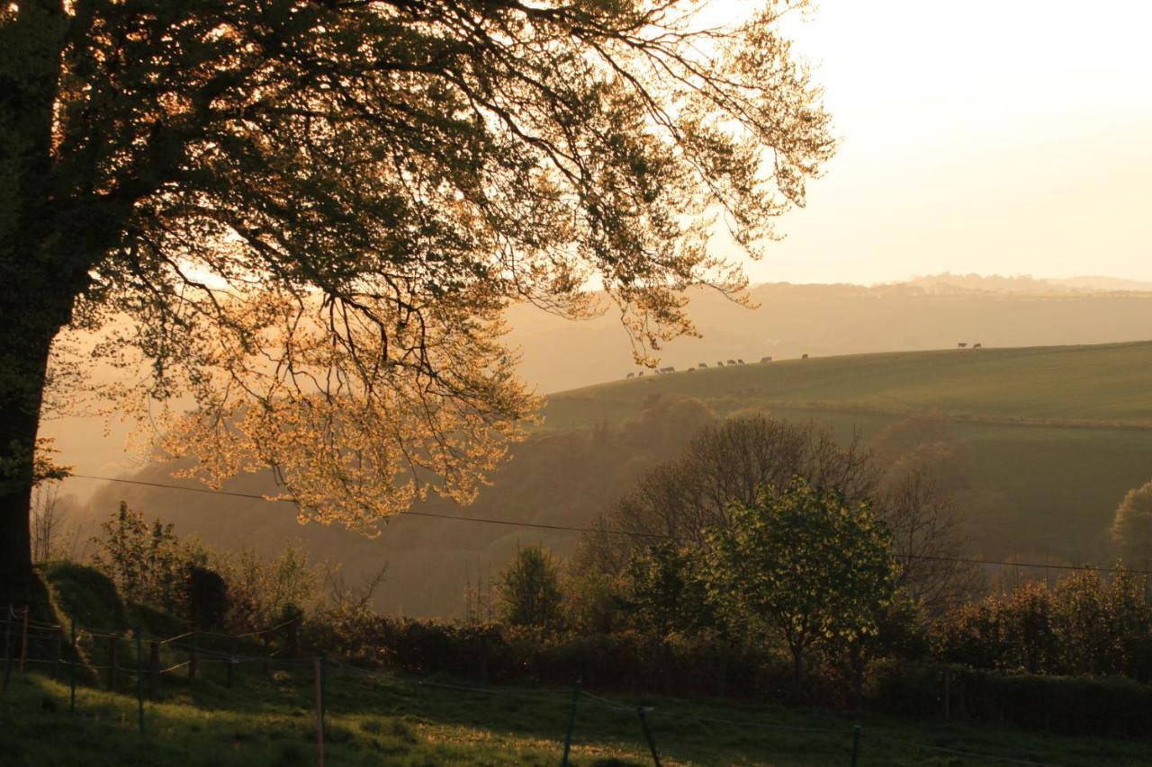 Devon Country Paradise Tavistock  Ngoại thất bức ảnh
