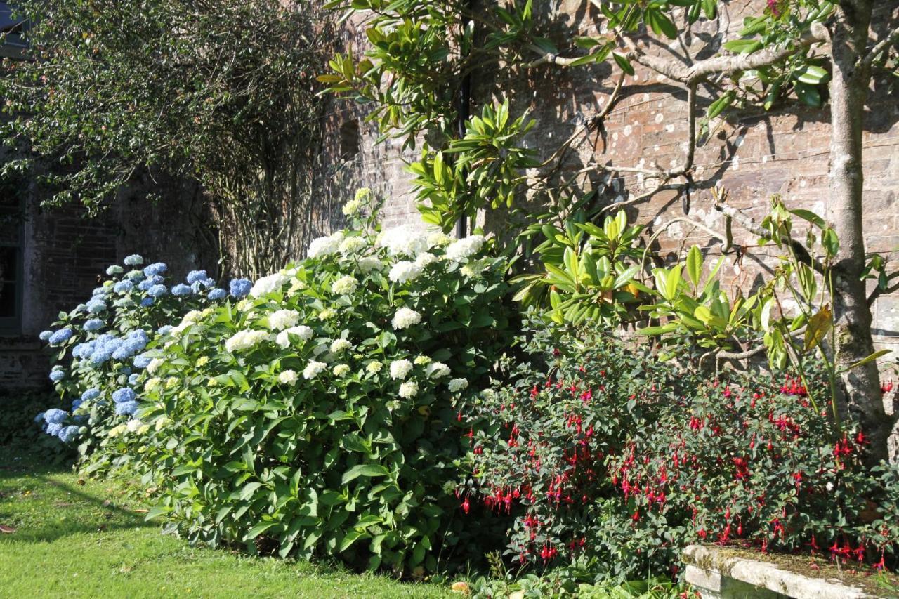 Devon Country Paradise Tavistock  Ngoại thất bức ảnh