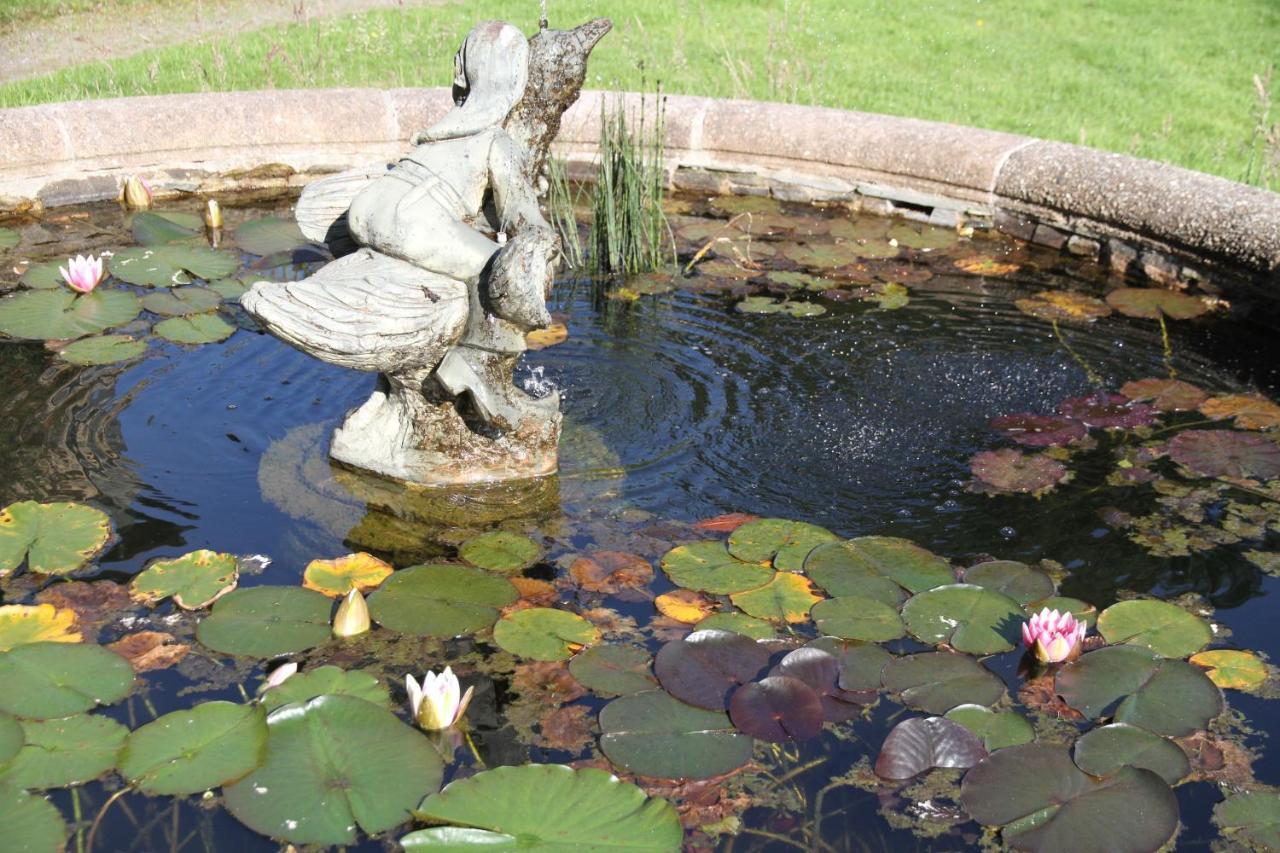 Devon Country Paradise Tavistock  Ngoại thất bức ảnh