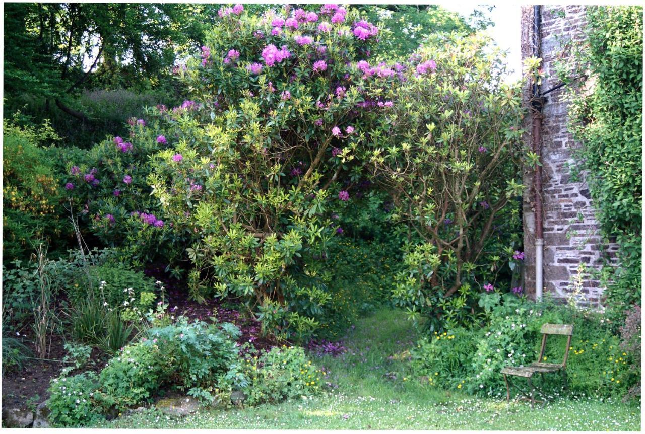 Devon Country Paradise Tavistock  Ngoại thất bức ảnh