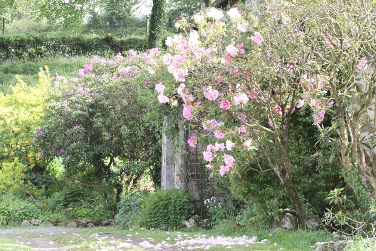 Devon Country Paradise Tavistock  Ngoại thất bức ảnh